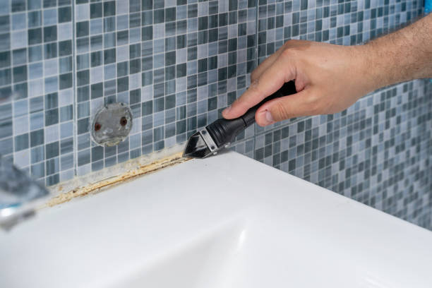 Best Preventive Mold Services in Ripley, WV